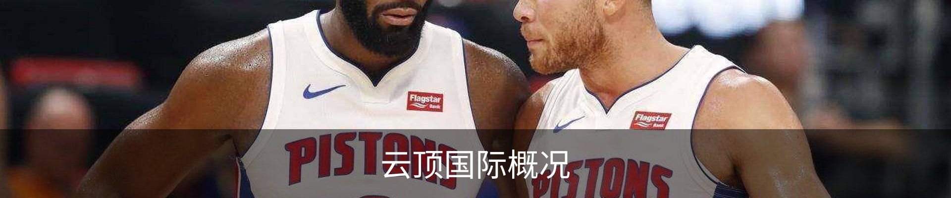云顶国际概况
